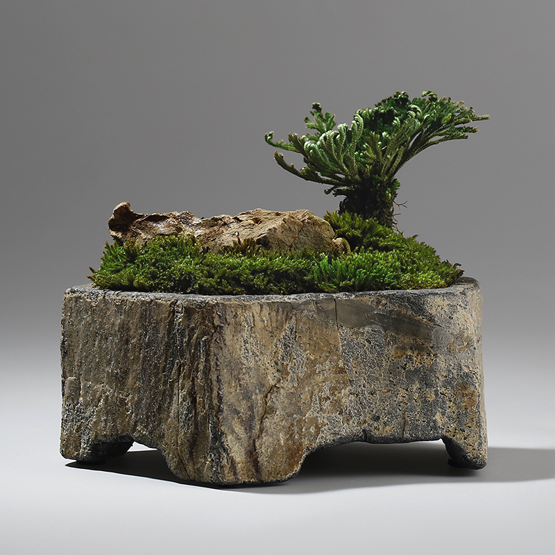 Bonsai Garden Indoor - Basalt Natural Stone Flower Pot Handcrafted
