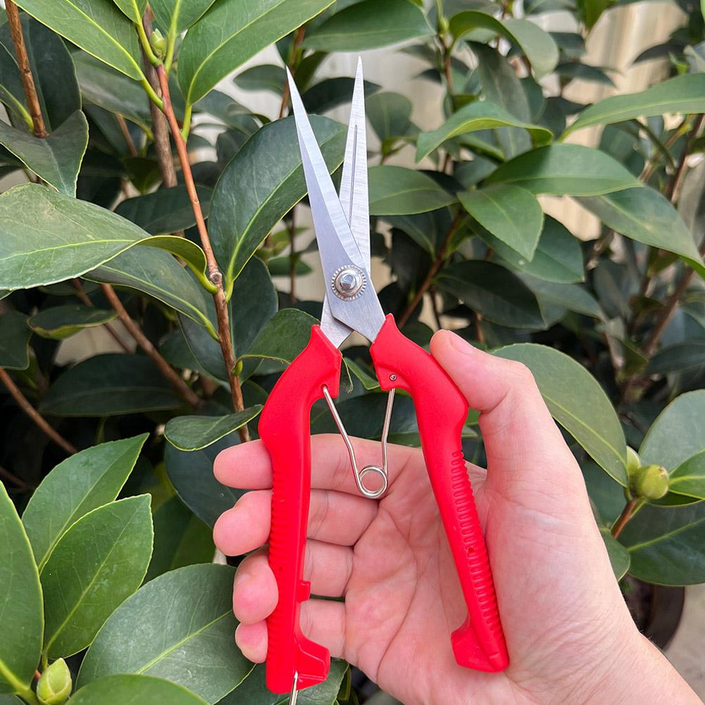 Bonsai Garden Decor - Pro Garden Pruning Shears Lengthened Tree