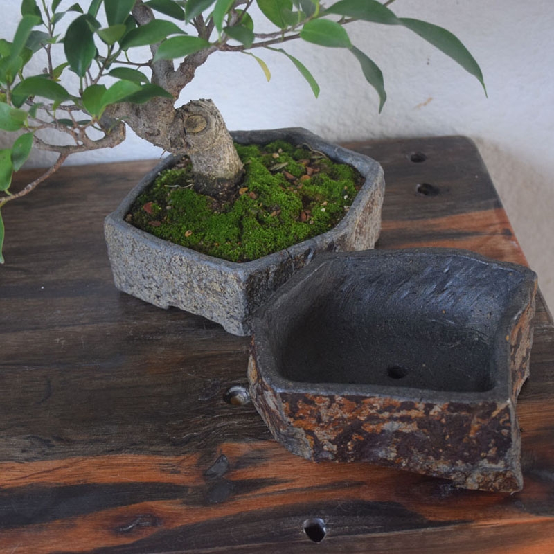Basalt Natural Stone Flower Po - Bonsai Garden Indoor review and price