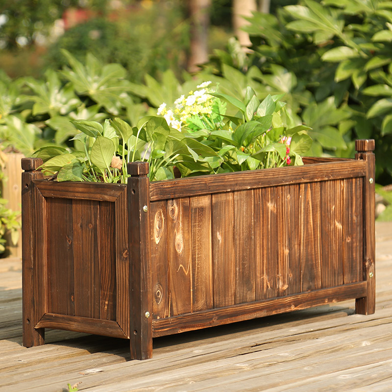 Create a Balcony Small Garden  - Bonsai Garden Indoor review and price