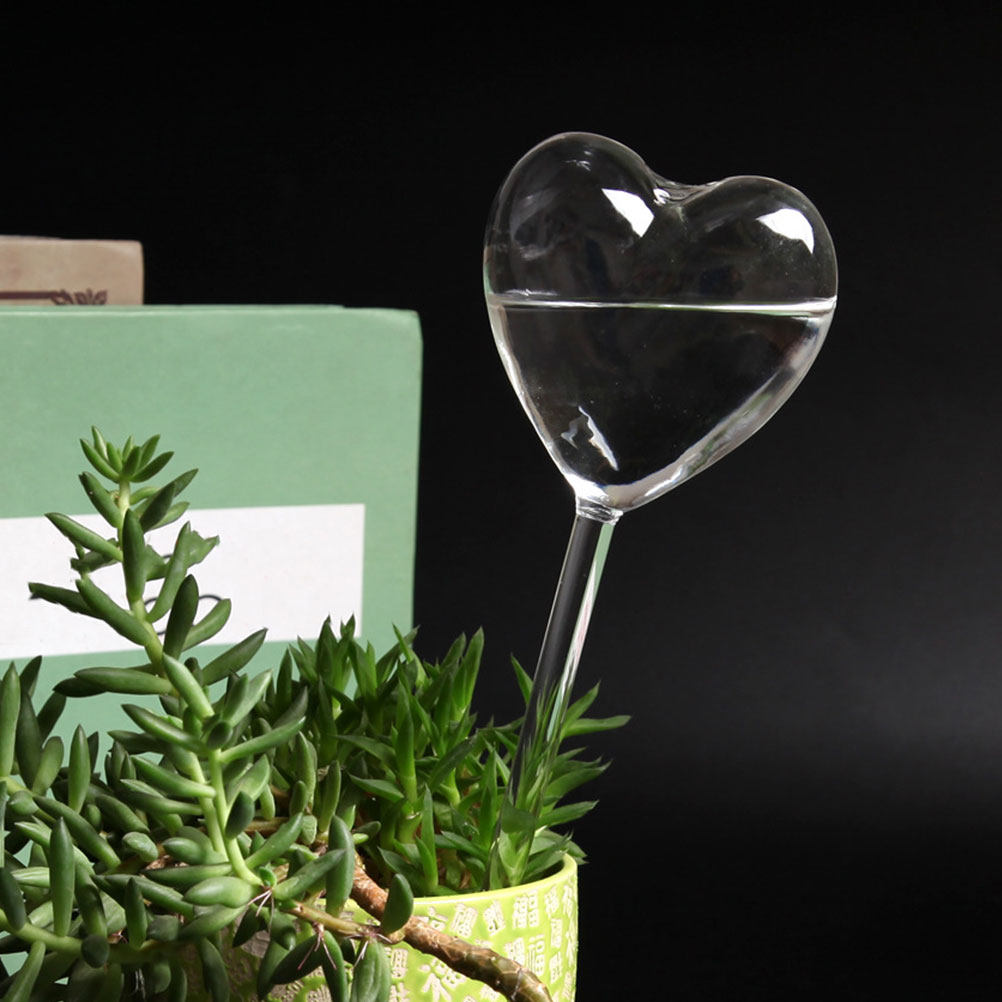 3Pcs Heart Shaped Glass Self W - Bonsai Garden Home review and price