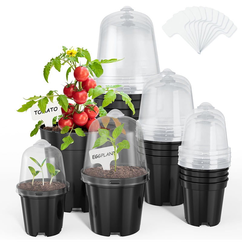Nursery Pots Flowerpot Gardeni - Bonsai Garden Indoor review and price