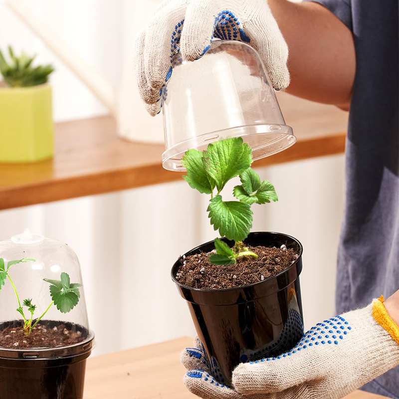 Nursery Pots Flowerpot Gardeni - Bonsai Garden Indoor review and price