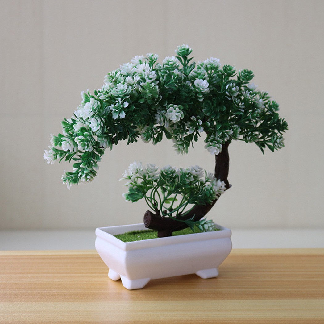 Plastic potted bonsai ornament - Bonsai Garden Indoor review and price