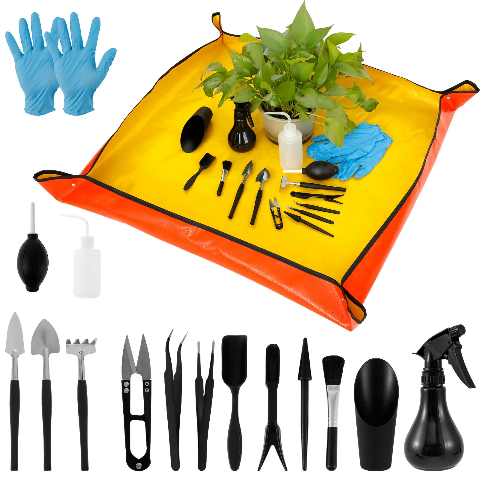 13/16Pcs Garden Succulent Plan - Bonsai Garden Indoor review and price