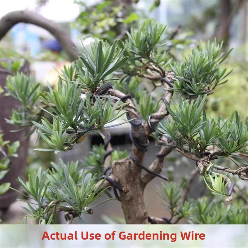 1.5MM Bonsai Wires Aluminum Bo - Bonsai Garden Home review and price