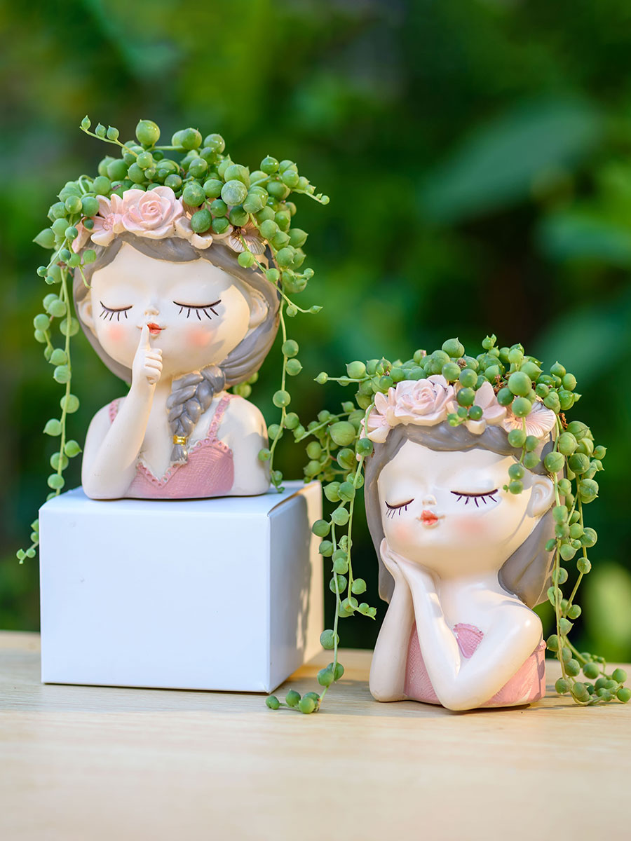 Fairy Succulents Planters Flow - Japanese Garden Bonsai review and price