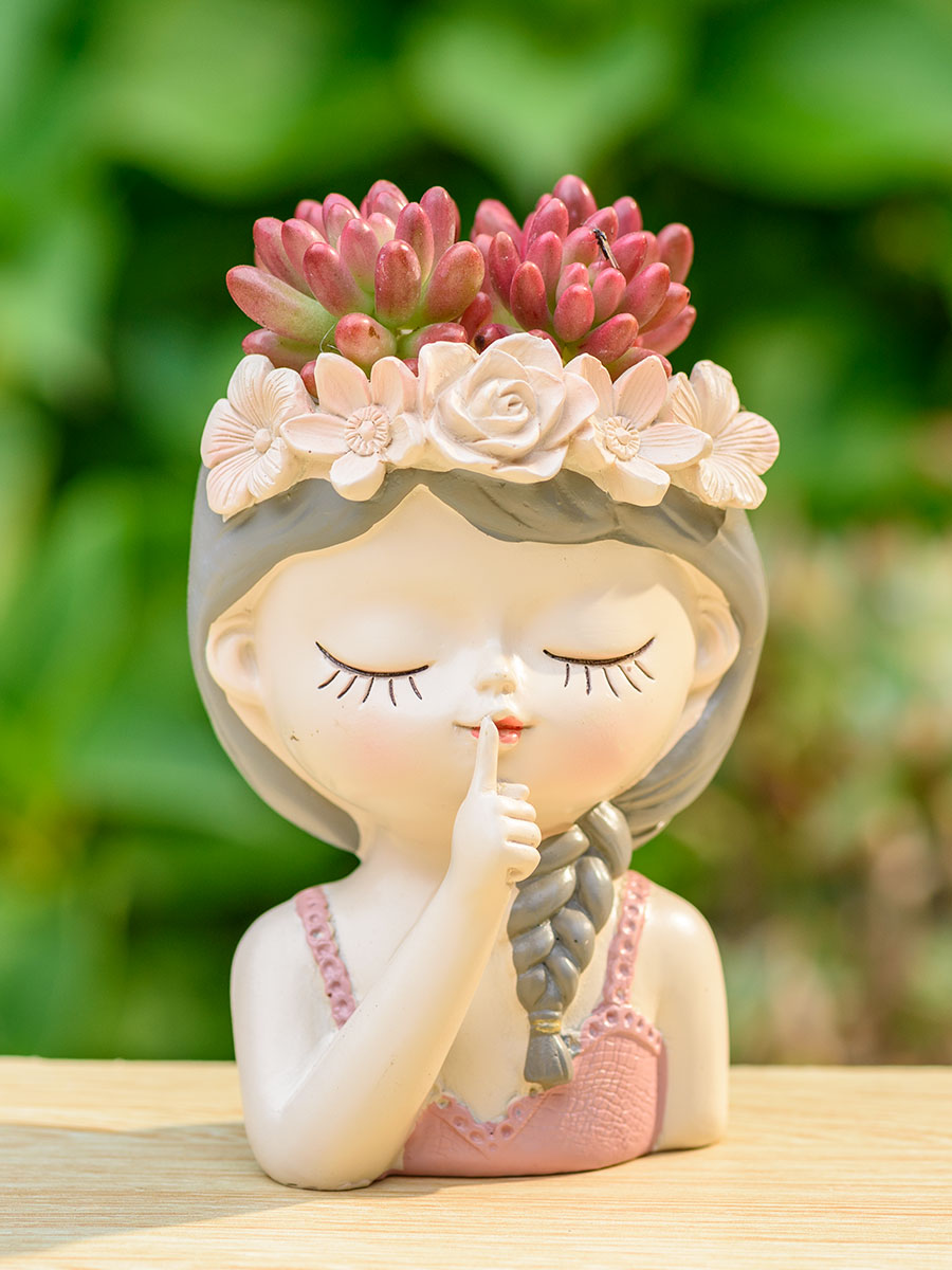 Fairy Succulents Planters Flow - Japanese Garden Bonsai review and price