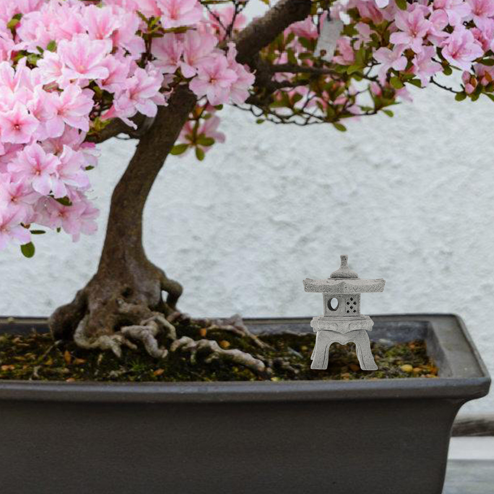 1Set Exquisitely Crafted Mini  - Japanese Garden Bonsai review and price