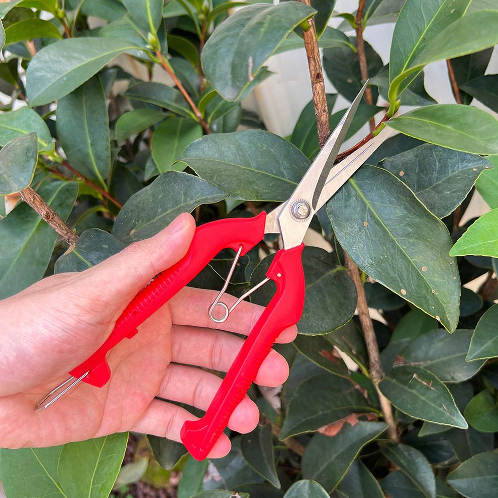 Pro Garden Pruning Shears Leng - Bonsai Garden Decor review and price