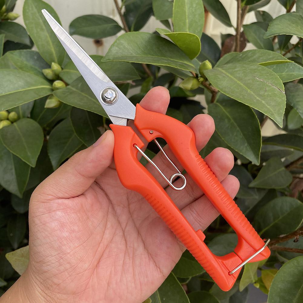 Pro Garden Pruning Shears Leng - Bonsai Garden Decor review and price