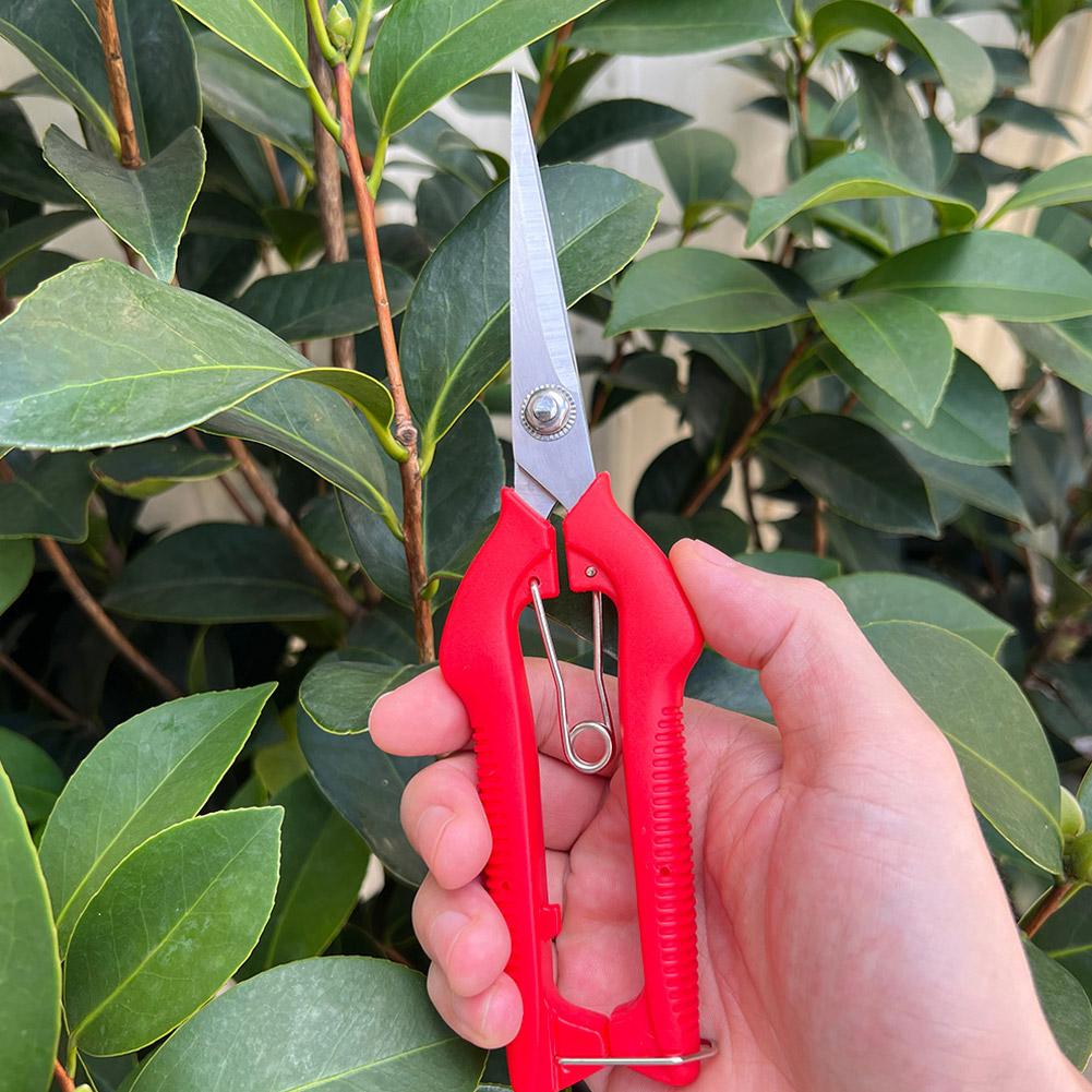 Pro Garden Pruning Shears Leng - Bonsai Garden Decor review and price