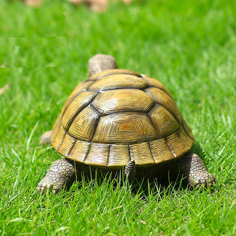 Cute Decorative Turtle Resin T - Bonsai Garden Home review and price