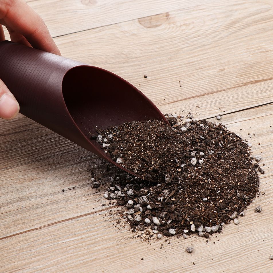 1PC Plastic Soil Shovel Cup Fo - Bonsai Garden Home review and price
